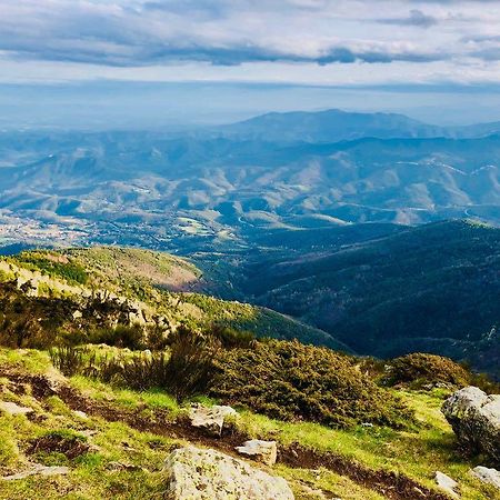 Hotel La Fonda Dels Pirineus Maçanet de Cabrenys Kültér fotó